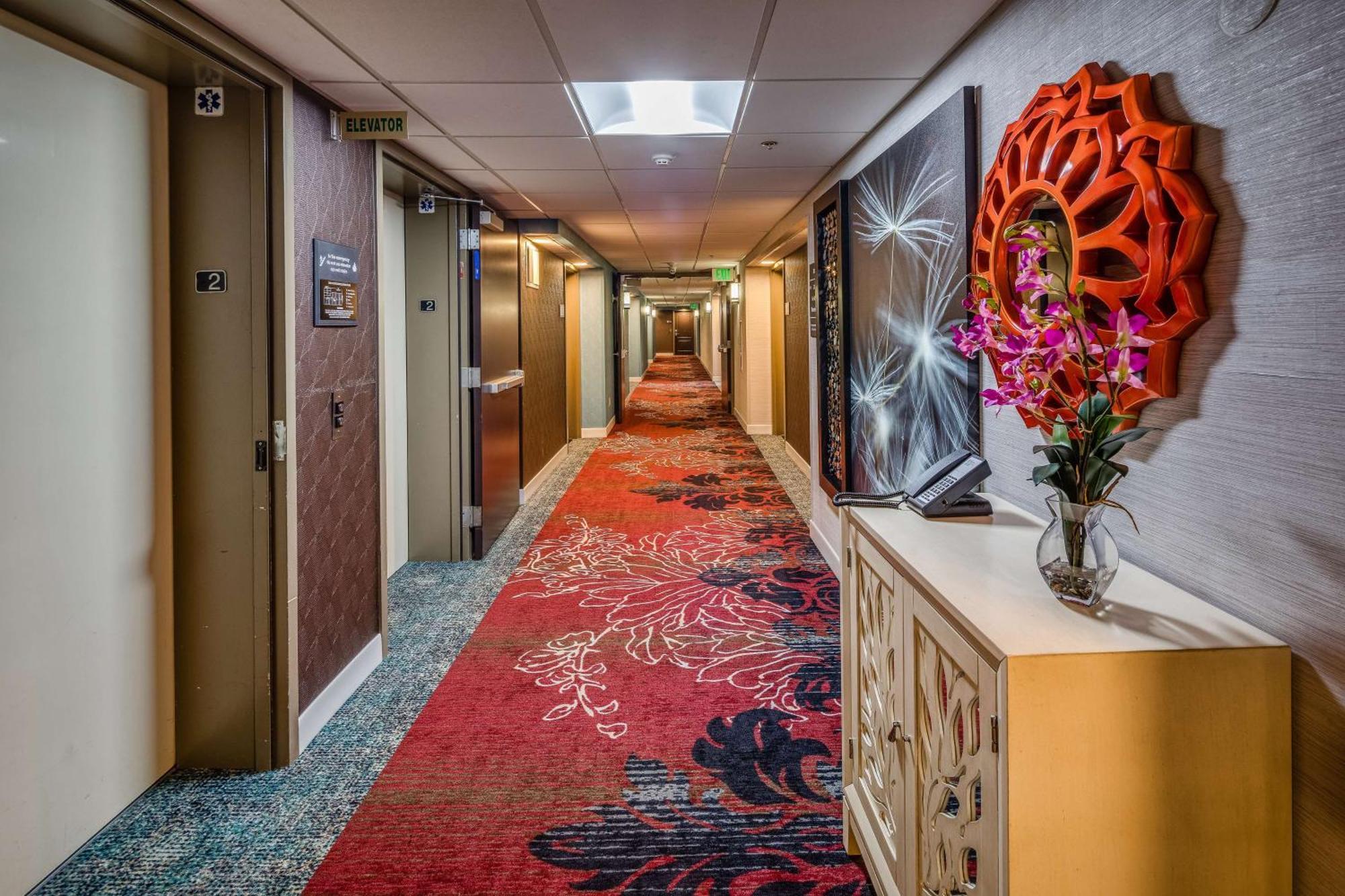 Hampton Inn San Francisco Airport Саут-Сан-Франциско Екстер'єр фото